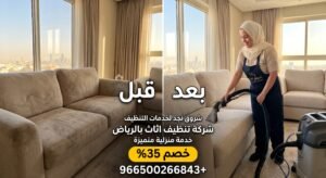 لماذا لا تكفي المكنسة الكهربائية وحدها؟