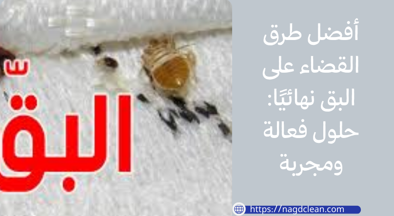 الاستعانة بشركة متخصصة