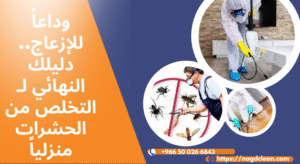 أنواع الحشرات المنزلية