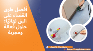 أسباب انتشار البق