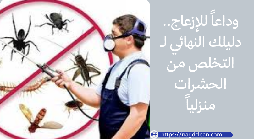 النهائي لـ التخلص من الحشرات منزلياً