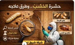 شركة متخصصة لمكافحة حشرة الخشب