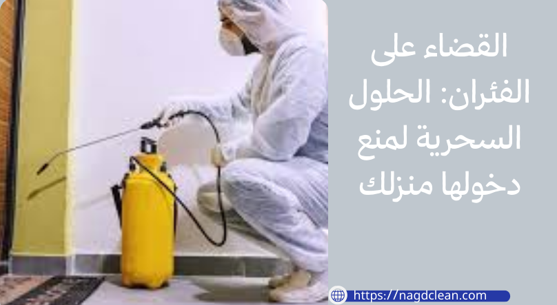 القضاء على الفئران: الحلول السحرية