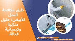 علامات وجود النمل الأبيض في المنزل