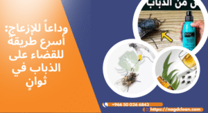 لماذا ينتشر الذباب