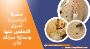 أسباب ظهور حشرة الخشب