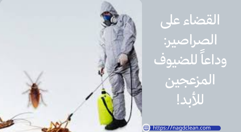 فحص أماكن الاختباء المحتملة