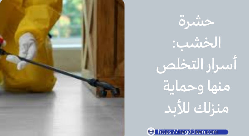 شركة لمكافحة حشرة الخشب