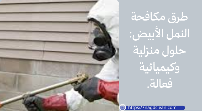 طرق مكافحة النمل الأبيض