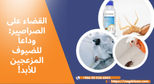 أفضل الطرق للقضاء على الصراصير
