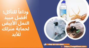 أفضل مبيد النمل الأبيض