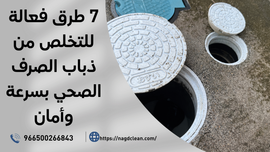 ذباب الصرف الصحي