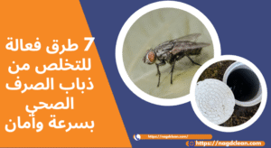 ما هو ذباب الصرف الصحي؟