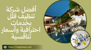 شركة تنظيف فلل