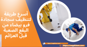 أسباب انتشار الفئران في المنزل