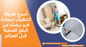 الأدوات اللازمة لتنظيف سجادة