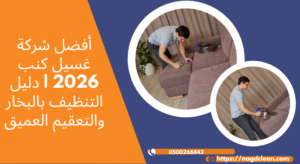 التخلص من عث الغبار المجهري