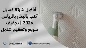 التنظيف الدوري والتنظيف الترميمي