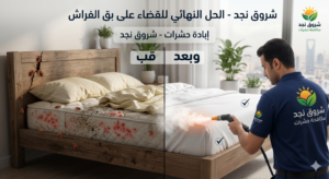 شركة مكافحة البق بالرياض للقضاء