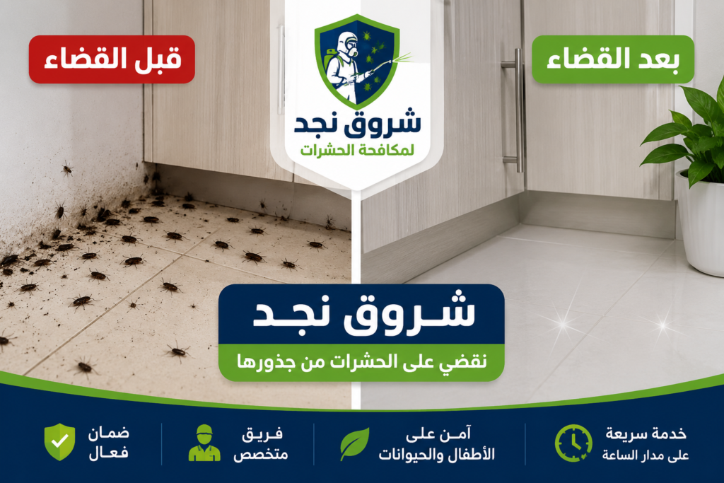 شركة مكافحة حشرات بالرياض