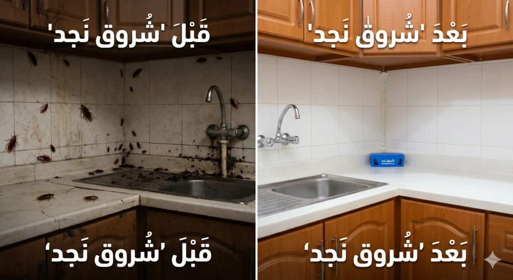 شركة مكافحة حشرات بالرياض