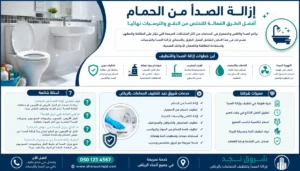 تنظيف المرحاض من الداخل للحصول على نظافة عميقة