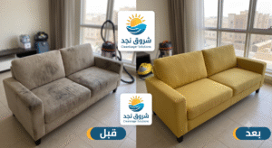 انتشار البكتيريا والعفن داخل الأنسجة