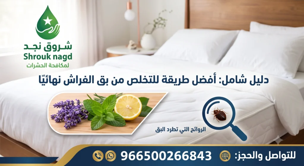 أفضل طريقة للتخلص من بق الفراش