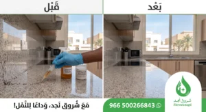 أفضل شركة للتخلص من النمل الصغير في المنزل بالرياض