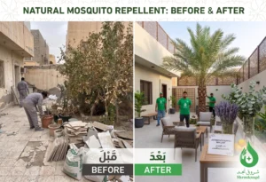 كيفية استخدام الروائح الطبيعية لطرد الناموس