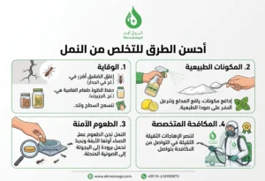 احسن طريقة للتخلص من النمل بالوسائل المنزلية