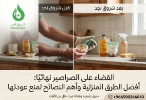 كيفية القضاء على الصراصير نهائيًا