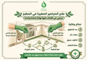 من أين تأتي الصراصير الصغيرة وأسباب وجودها؟ 