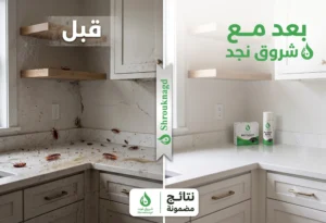 علامات تدل على حاجتك إلى شركة متخصصة