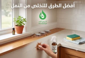 عروض شروق نجد لمكافحة النمل