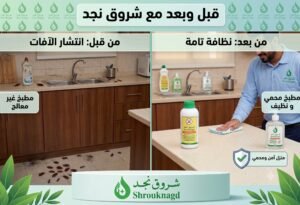 أفضل شركة رش مبيدات بالرياض
