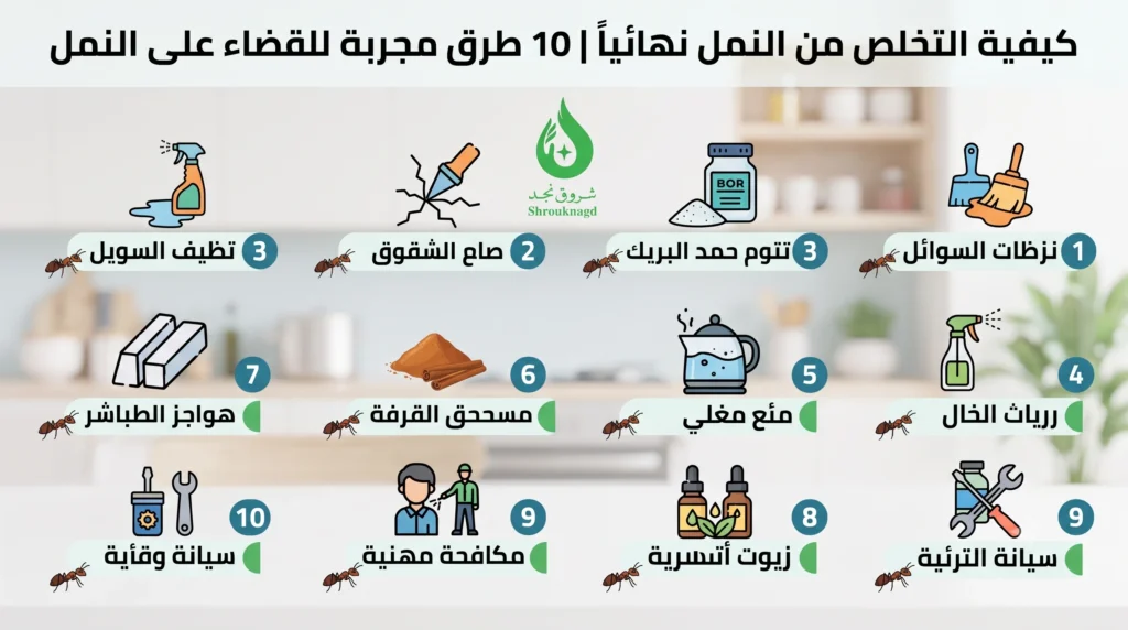 كيفية التخلص من النمل نهائياً