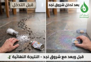 طرق طبيعية وآمنة لـ التخلص من النمل الصغير في المنزل
