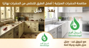 كيف أطلب خدمة رش الحشرات