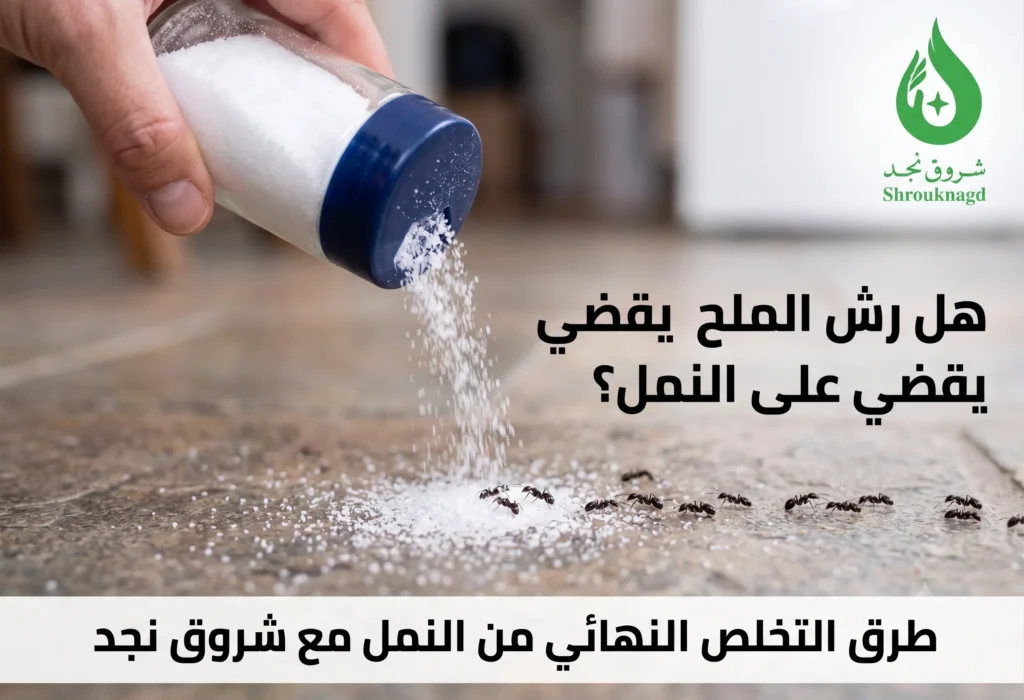 هل رش الملح يقضي على النمل