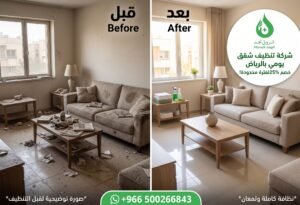 خدمات التنظيف اليومي والدوري للشقق
