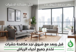 ماذا أفعل بعد رش مبيد الحشرات؟