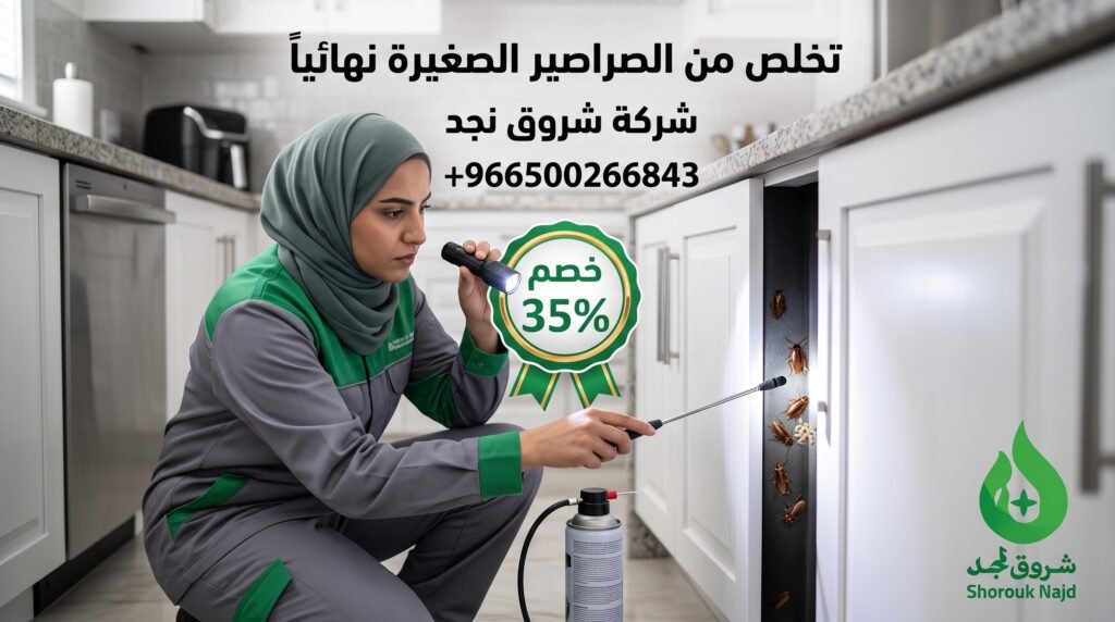من أين تأتي الصراصير الصغيرة